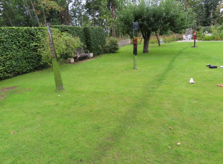 Lawn Drainage Guildford, Surrey, GU4 - Substatial lawn areas suffering from drainage issues caused by runoff and ingress from neighbouring open land and the clay based soil type. Lawn Drainage Guildford, Surrey, GU4 - Substatial lawn areas suffering from drainage issues caused by runoff and ingress from neighbouring open land and the clay based soil type.