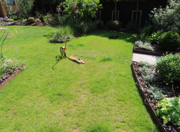Lawn Drainage Hersham, Walton-on-Thames, Surrey, KT12 - A recently completed landscaped garden with drainage issues. Lawn Drainage Hersham, Walton-on-Thames, Surrey, KT12 - A recently completed landscaped garden with drainage issues.