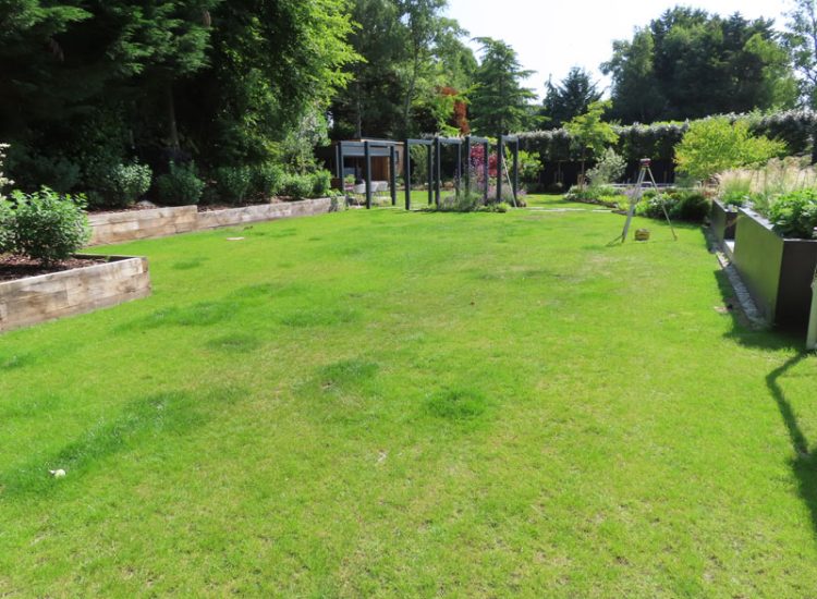Lawn Drainage Hersham, Walton-on-Thames, Surrey, KT12 - A recently completed landscaped garden with drainage issues. Lawn Drainage Hersham, Walton-on-Thames, Surrey, KT12 - A recently completed landscaped garden with drainage issues.