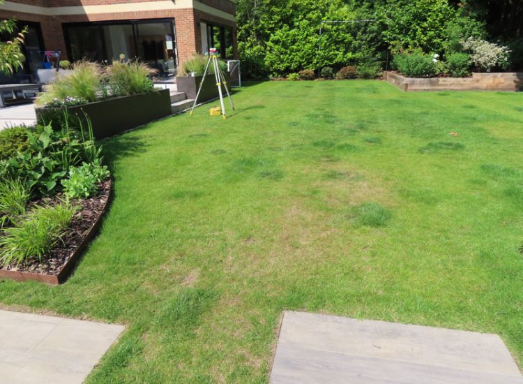 Lawn Drainage Hersham, Walton-on-Thames, Surrey, KT12 - A recently completed landscaped garden with drainage issues. Lawn Drainage Hersham, Walton-on-Thames, Surrey, KT12 - A recently completed landscaped garden with drainage issues.