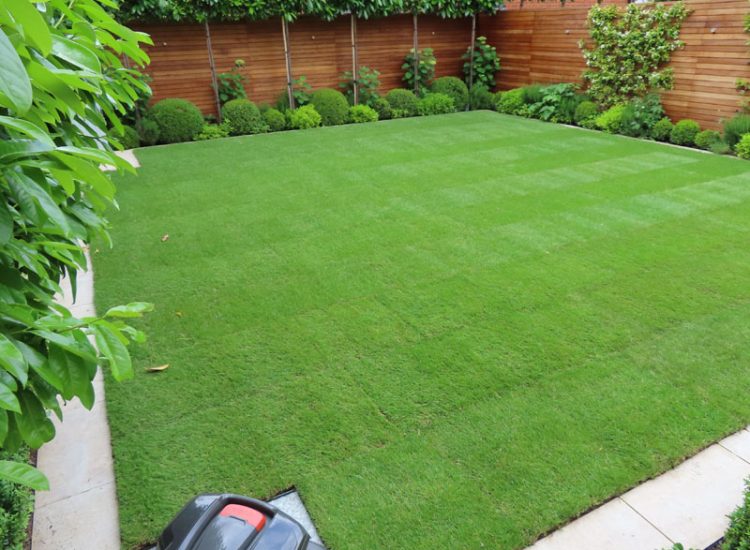 Drainage and New Lawn Weybridge, Surrey, KT13 - A completed garden previosly landscaped but left with lawn drainage issues.