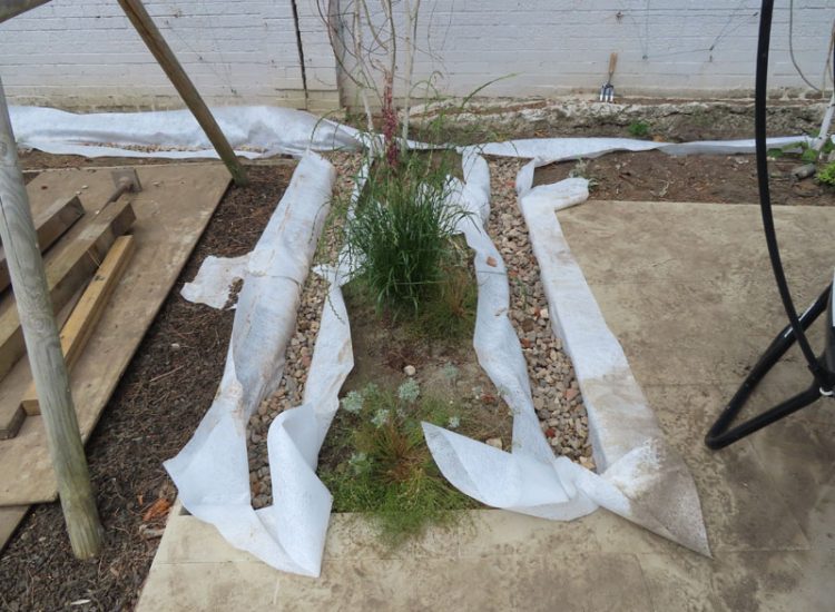 Lawn and Garden Drainage Raynes Park, London, SW20 - Failed drainage solutions needing to be resolved in a recently completed landscaped rear garden. Lawn and Garden Drainage Raynes Park, London, SW20 - Failed drainage solutions needing to be resolved in a recently completed landscaped rear garden.