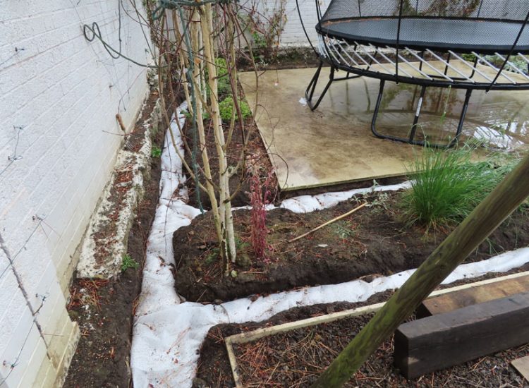 Lawn and Garden Drainage Raynes Park, London, SW20 - Failed drainage solutions needing to be resolved in a recently completed landscaped rear garden. Lawn and Garden Drainage Raynes Park, London, SW20 - Failed drainage solutions needing to be resolved in a recently completed landscaped rear garden.