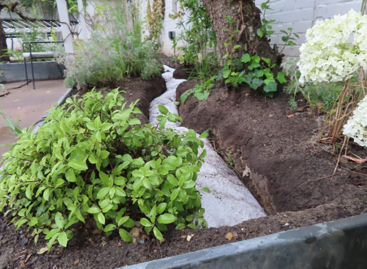 Lawn and Garden Drainage Raynes Park, London, SW20 - Failed drainage solutions needing to be resolved in a recently completed landscaped rear garden. Lawn and Garden Drainage Raynes Park, London, SW20 - Failed drainage solutions needing to be resolved in a recently completed landscaped rear garden.