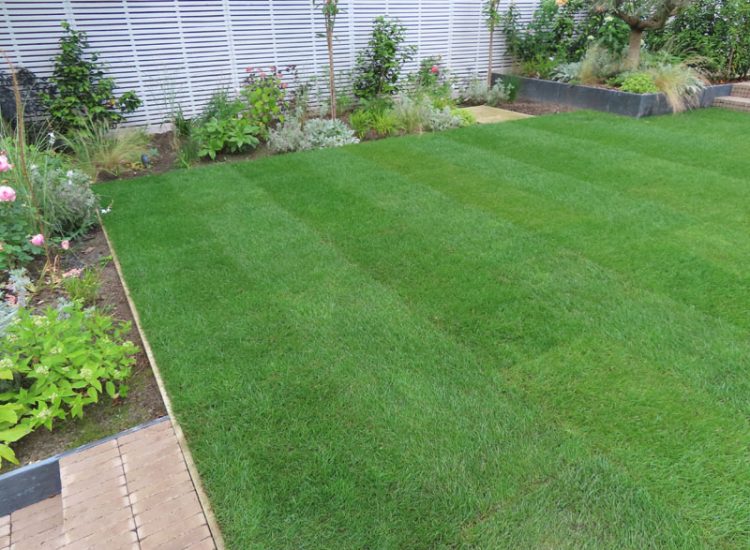 Lawn and Garden Drainage Raynes Park, London, SW20 - Failed drainage solutions needing to be resolved in a recently completed landscaped rear garden. Lawn and Garden Drainage Raynes Park, London, SW20 - Failed drainage solutions needing to be resolved in a recently completed landscaped rear garden.