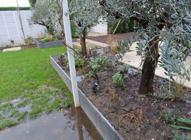 Lawn and Garden Drainage Raynes Park, London, SW20 - Failed drainage solutions needing to be resolved in a recently completed landscaped rear garden. Lawn and Garden Drainage Raynes Park, London, SW20 - Failed drainage solutions needing to be resolved in a recently completed landscaped rear garden.