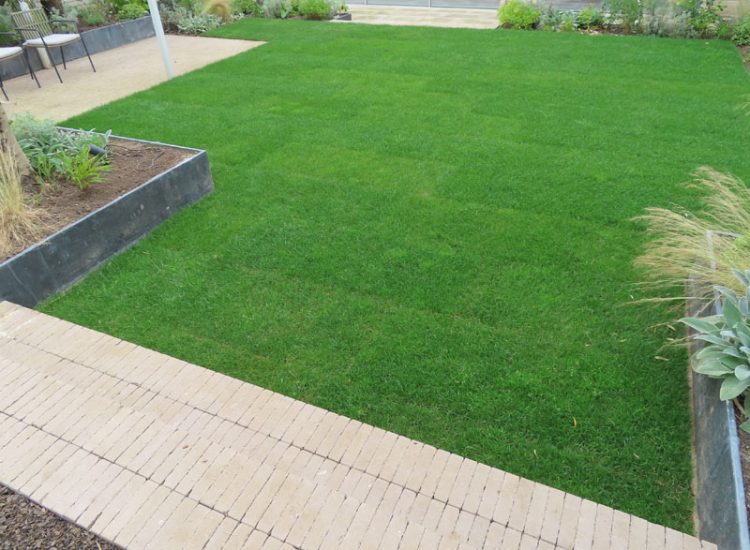 Lawn and Garden Drainage Raynes Park, London, SW20 - Failed drainage solutions needing to be resolved in a recently completed landscaped rear garden.