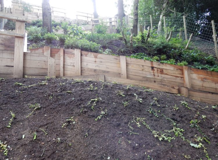 New Oak Sleeper Retaining Walls Farnham, Surrey, GU9 - Extensive oak sleeper retaining walls within an embankment area.