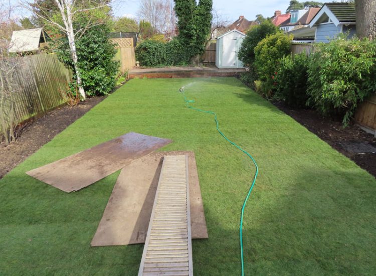 Turfing and Lawn Drainage Surbiton, Greater London, KT5 - A moderately sized urban town garden requiring a new lawn with lawn drainage to assist. Turfing and Lawn Drainage Surbiton, Greater London, KT5 - A moderately sized urban town garden requiring a new lawn with lawn drainage to assist.