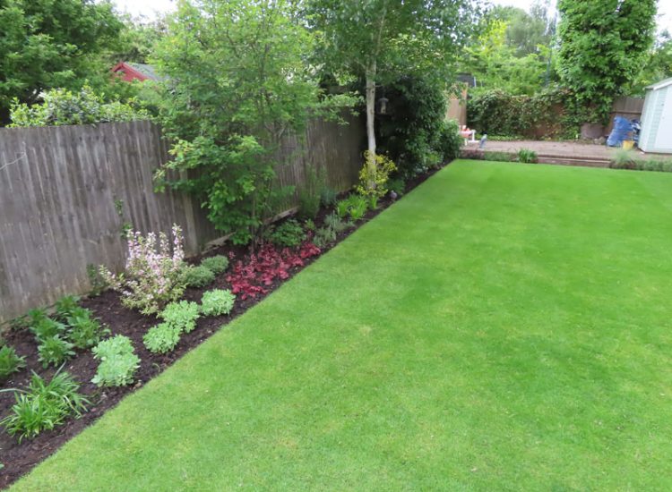 Turfing and Lawn Drainage Surbiton, Greater London, KT5 - A moderately sized urban town garden requiring a new lawn with lawn drainage to assist.