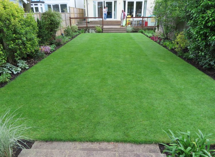 Turfing and Lawn Drainage Surbiton, Greater London, KT5 - A moderately sized urban town garden requiring a new lawn with lawn drainage to assist.