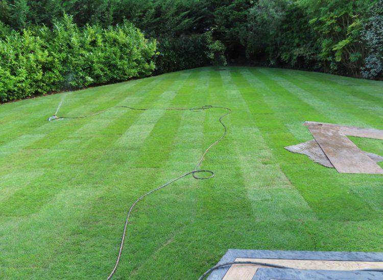 Turfing and Lawn Drainage Esher, Surrey KT10 - Turfing of a rear garden after a drainage installation. Turfing and Lawn Drainage Esher, Surrey KT10 - Turfing of a rear garden after a drainage installation.