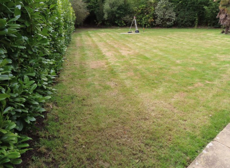 Turfing and Lawn Drainage Esher, Surrey KT10 - Turfing of a rear garden after a drainage installation. Turfing and Lawn Drainage Esher, Surrey KT10 - Turfing of a rear garden after a drainage installation.