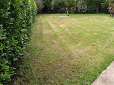 Turfing and Lawn Drainage Esher, Surrey KT10 - Turfing of a rear garden after a drainage installation. Turfing and Lawn Drainage Esher, Surrey KT10 - Turfing of a rear garden after a drainage installation.