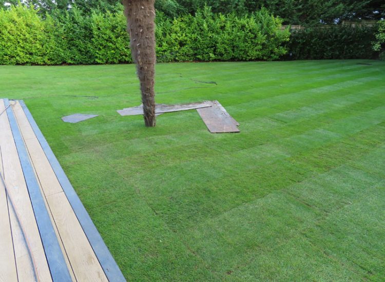 Turfing and Lawn Drainage Esher, Surrey KT10 - Turfing of a rear garden after a drainage installation. Turfing and Lawn Drainage Esher, Surrey KT10 - Turfing of a rear garden after a drainage installation.