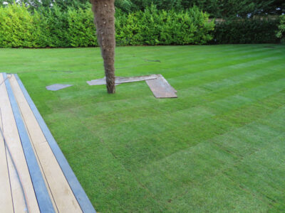 Turfing and Lawn Drainage Esher, Surrey KT10 - Turfing of a rear garden after a drainage installation. Turfing and Lawn Drainage Esher, Surrey KT10 - Turfing of a rear garden after a drainage installation.