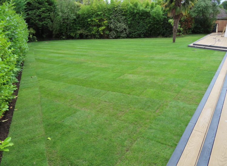 Turfing and Lawn Drainage Esher, Surrey KT10 - Turfing of a rear garden after a drainage installation.