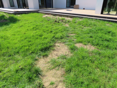 Turfing and Lawn Drainage Esher, Surrey KT10 - Turfing of a rear garden after a drainage installation. Turfing and Lawn Drainage Esher, Surrey KT10 - Turfing of a rear garden after a drainage installation.