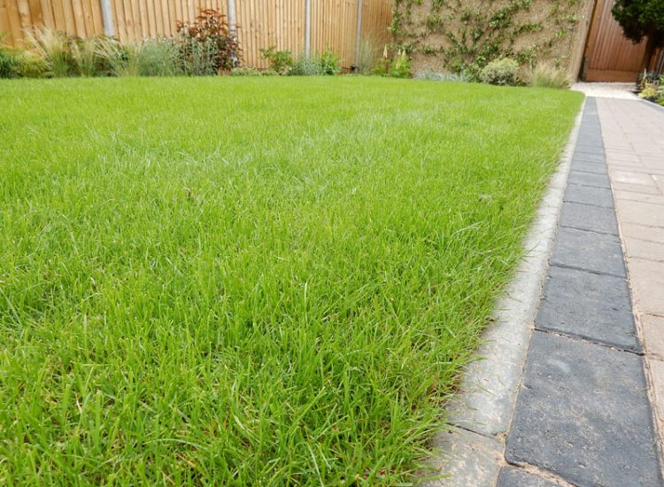 Turfing North Finchly, London, N12 - A small new lawn laid after lawn drainage including a drainge layer had been installed to assist with the drainage issues.