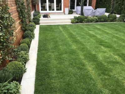 Turfing and Drainage Weybridge, Surrey, KT13 - Turfing of a small urban town garden that required drainage issues resolving first. Turfing and Drainage Weybridge, Surrey, KT13 - Turfing of a small urban town garden that required drainage issues resolving first.