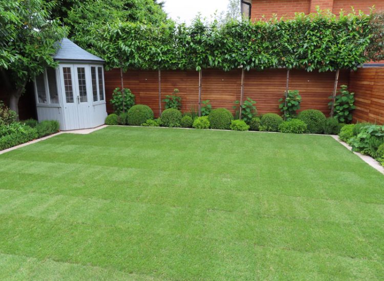 Turfing and Drainage Weybridge, Surrey, KT13 - Turfing of a small urban town garden that required drainage issues resolving first. Turfing and Drainage Weybridge, Surrey, KT13 - Turfing of a small urban town garden that required drainage issues resolving first.