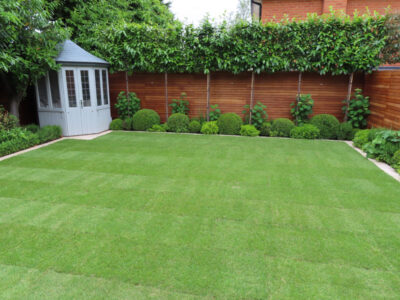 Turfing and Drainage Weybridge, Surrey, KT13 - Turfing of a small urban town garden that required drainage issues resolving first. Turfing and Drainage Weybridge, Surrey, KT13 - Turfing of a small urban town garden that required drainage issues resolving first.