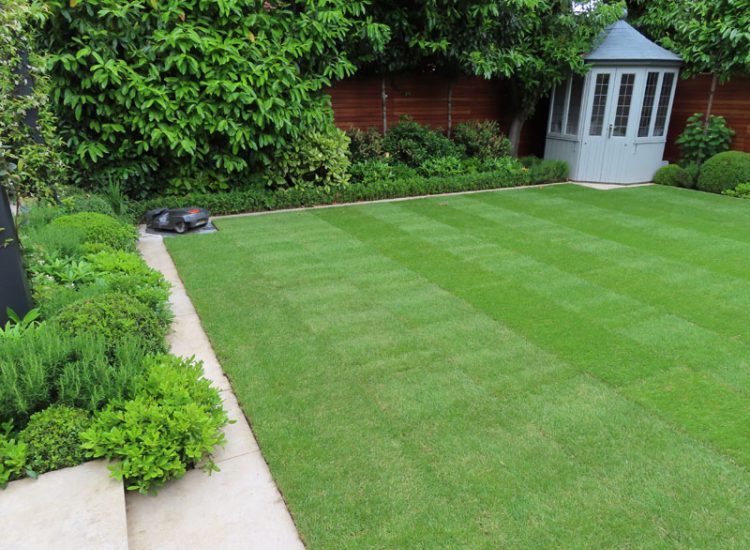 Turfing and Drainage Weybridge, Surrey, KT13 - Turfing of a small urban town garden that required drainage issues resolving first.