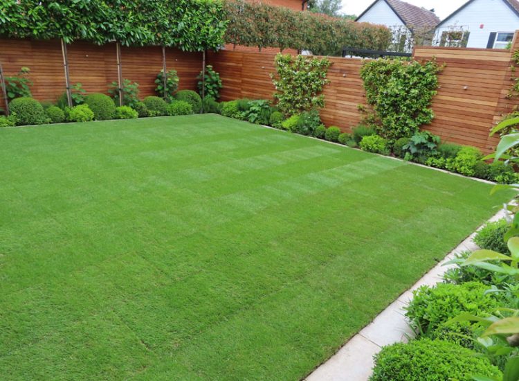Turfing and Drainage Weybridge, Surrey, KT13 - Turfing of a small urban town garden that required drainage issues resolving first.