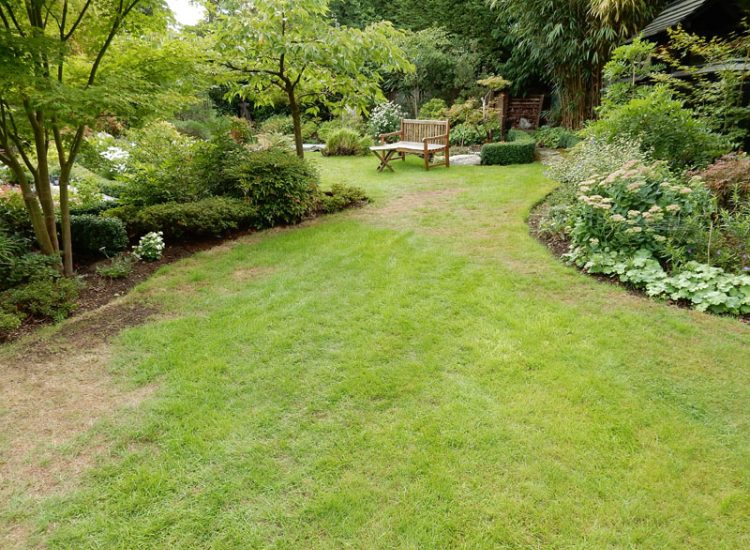 Turfing in Fleet, Hampshire, GU51 - A replacement lawn with new imported soil medium.