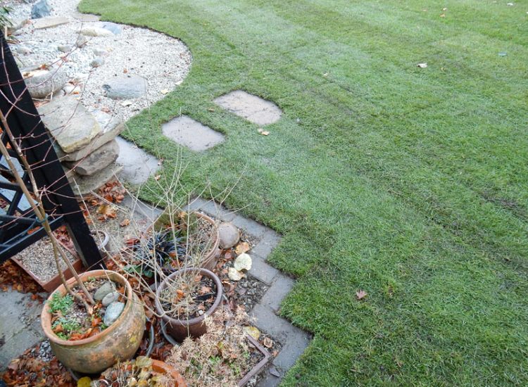 Turfing in Fleet, Hampshire, GU51 - A replacement lawn with new imported soil medium.