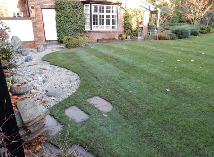 Turfing in Fleet, Hampshire, GU51 - A replacement lawn with new imported soil medium.