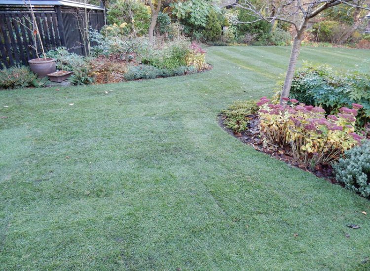 Turfing in Fleet, Hampshire, GU51 - A replacement lawn with new imported soil medium.