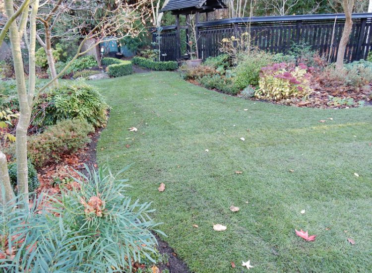 Turfing in Fleet, Hampshire, GU51 - A replacement lawn with new imported soil medium.