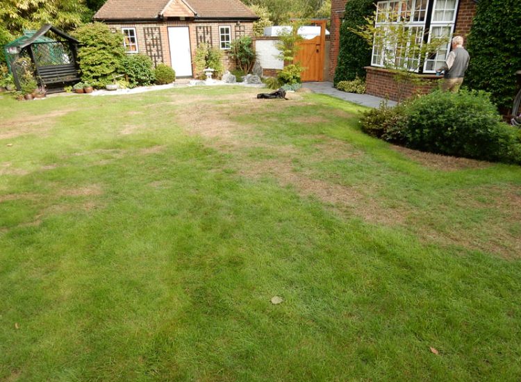 Turfing in Fleet, Hampshire, GU51 - A replacement lawn with new imported soil medium.