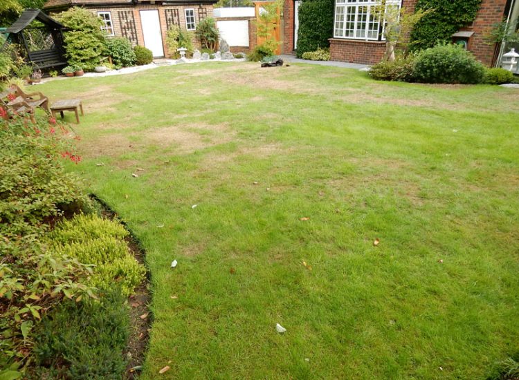 Turfing in Fleet, Hampshire, GU51 - A replacement lawn with new imported soil medium.
